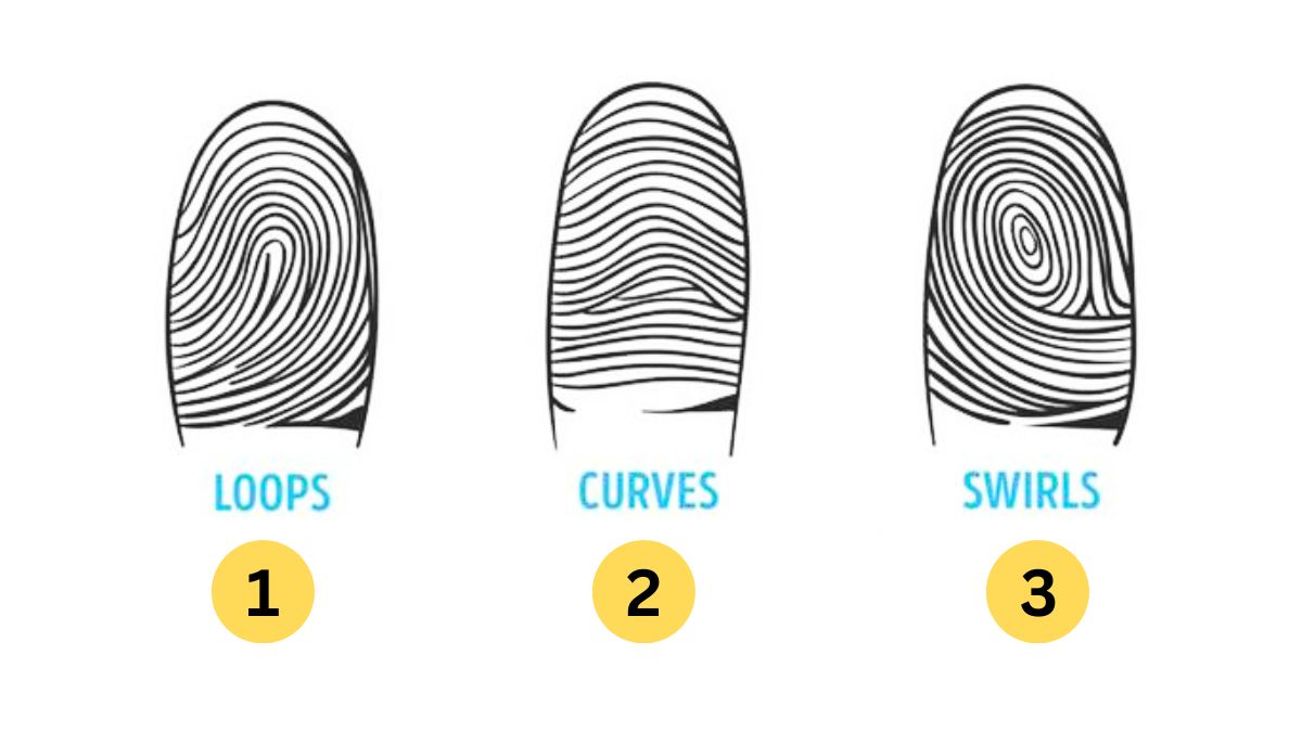 Personality Test: Your Fingerprint Reveals Your Hidden Personality Traits