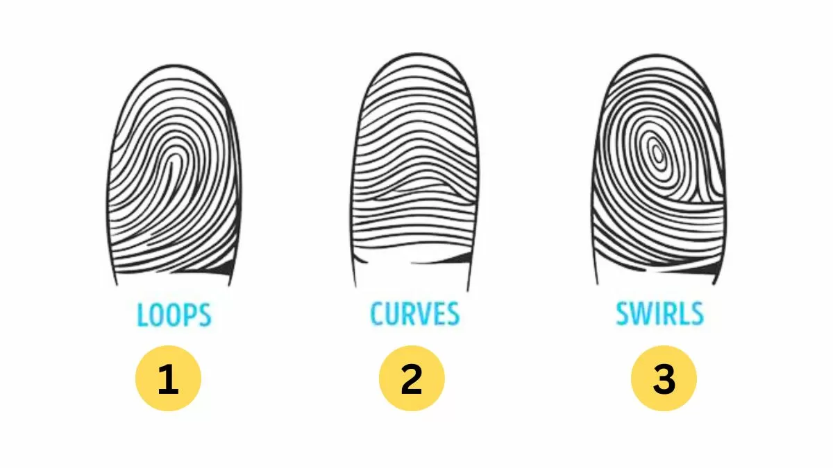 Fingerprint Personality Test