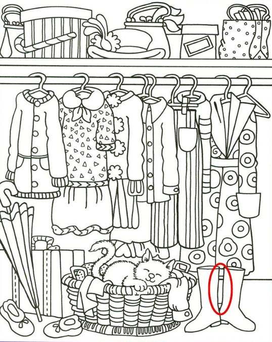 find hidden objects picture puzzles iq test