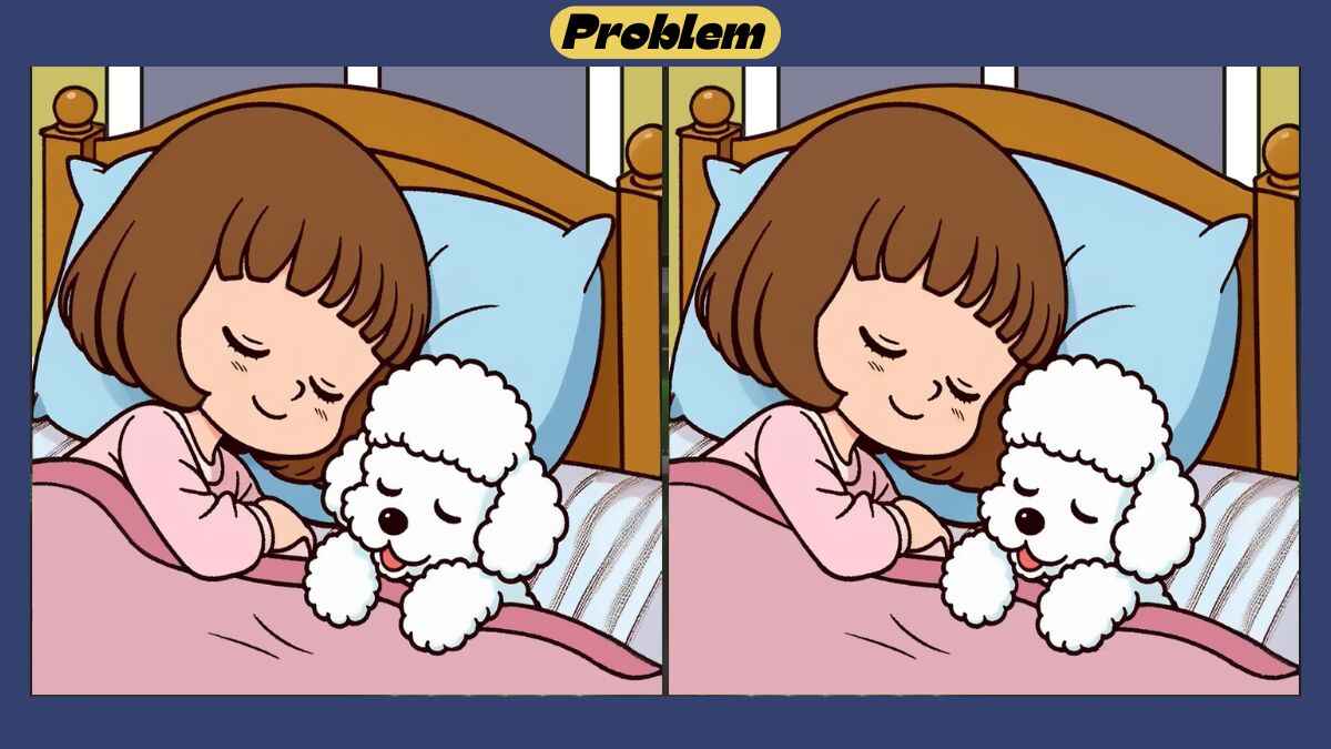 Find 3 Differences in 45 Seconds in This Girl And Puppy Sleeping Scene