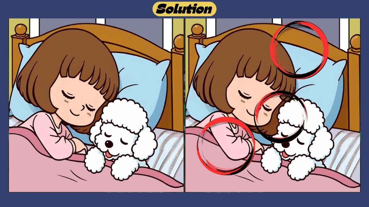 Find 3 Differences in 45 Seconds in This Girl And Puppy Sleeping Scene