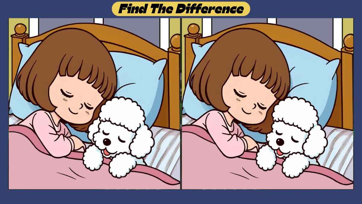 Spot 3 Differences Between Girl and Puppy Sleeping Pictures in 45 Seconds
