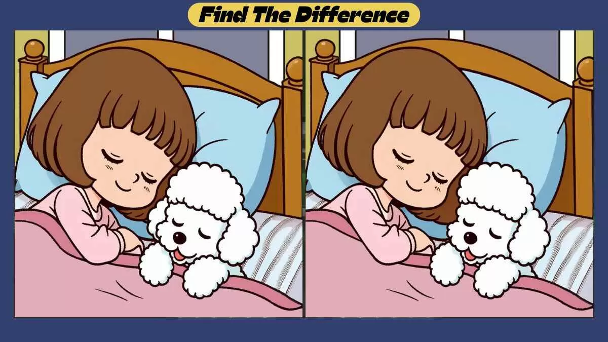 Find 3 Differences in 45 Seconds in This Girl And Puppy Sleeping Scene