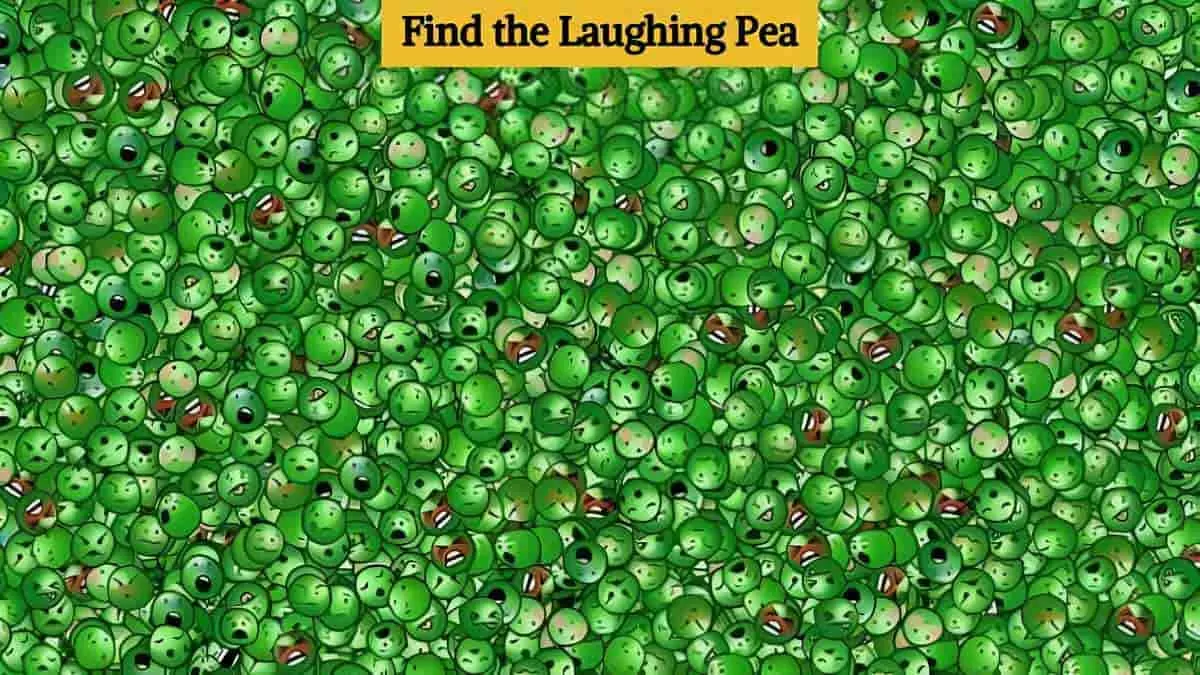 Find laughing pea optical illusion