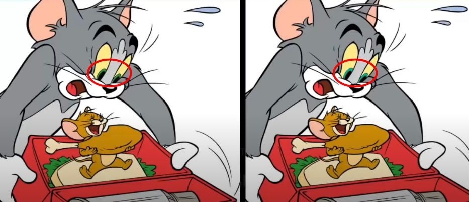 tom and jerry spot the difference brain teaser