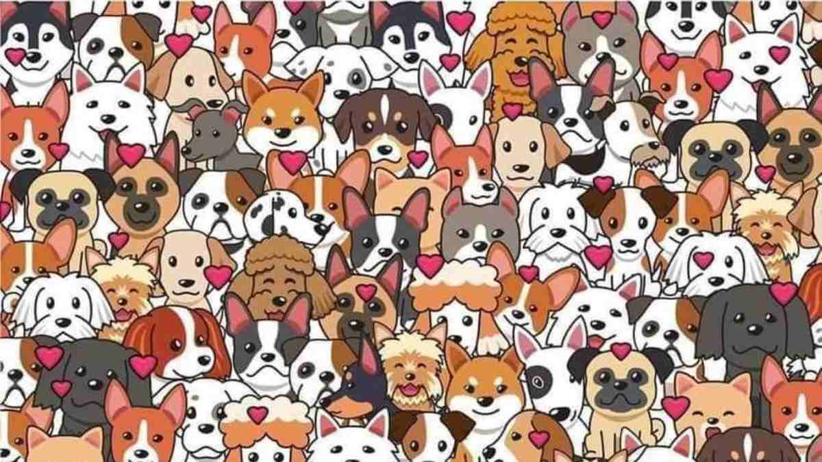 Picture Puzzle IQ Test: Can You Spot the Cat Among the Dogs in 15 Seconds?
