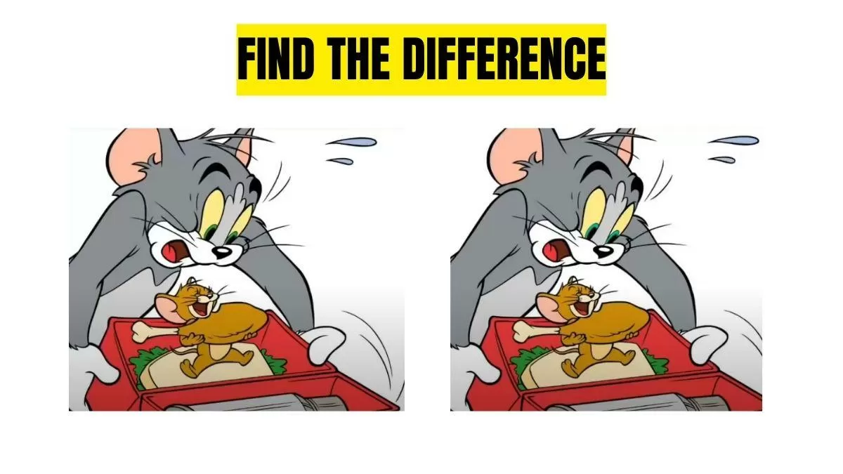 Spot the Difference in Tom and Jerry Picture .