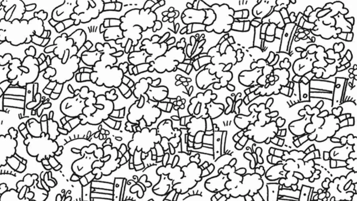 Can You Spot The Chick?