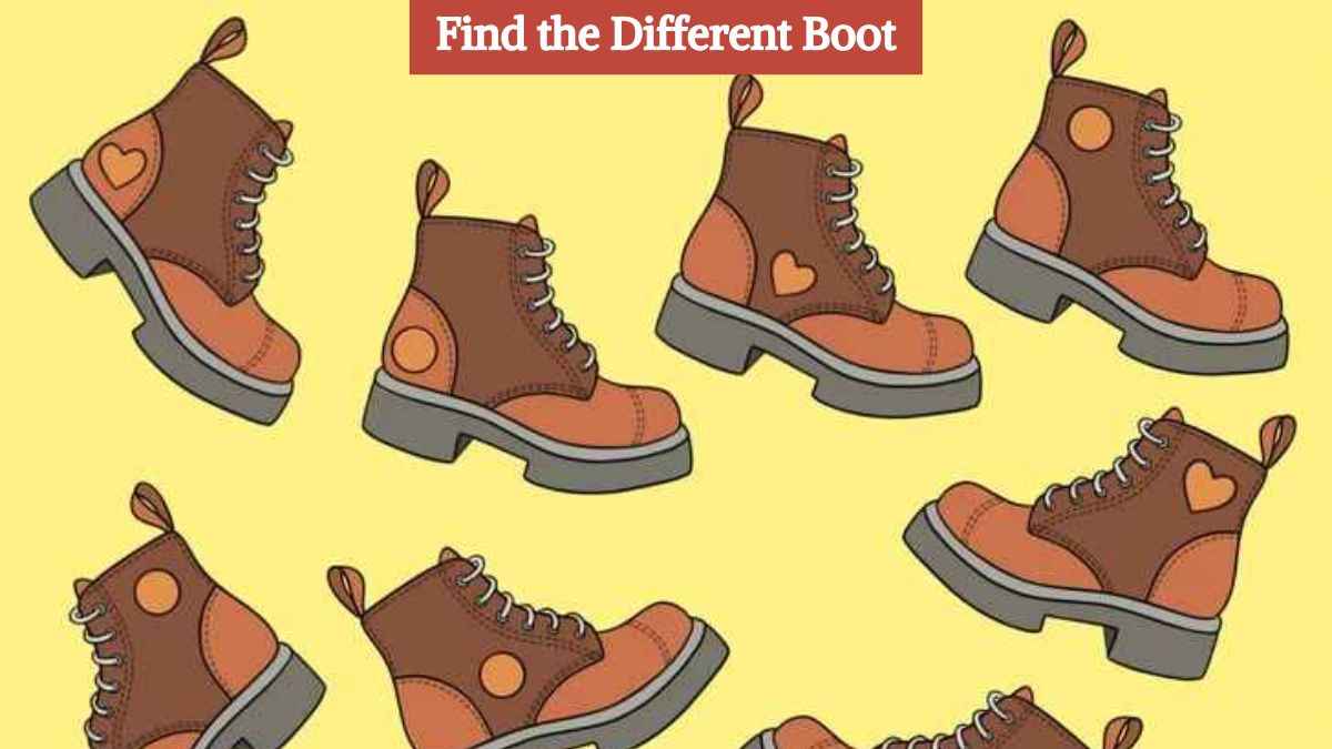 Only high IQ individuals can find which boot doesn’t have a pair in 5 seconds!