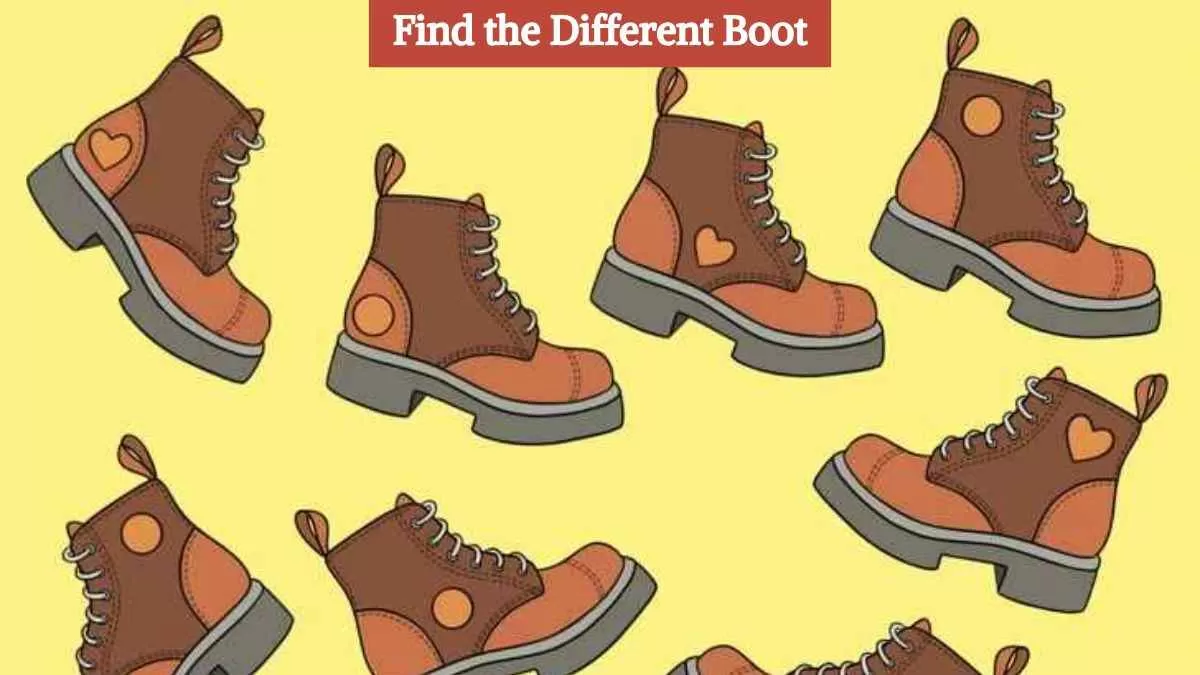 Find the different boot