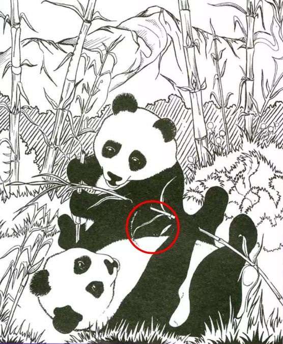 iq test optical illusions find hidden objects