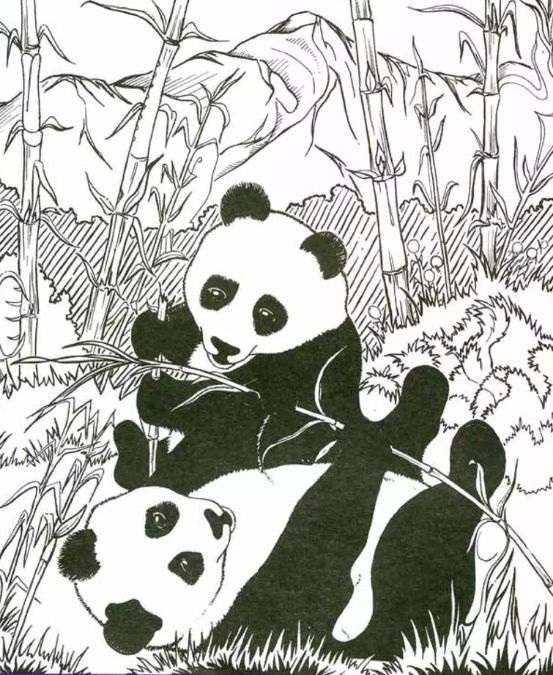 iq test optical illusions find hidden objects