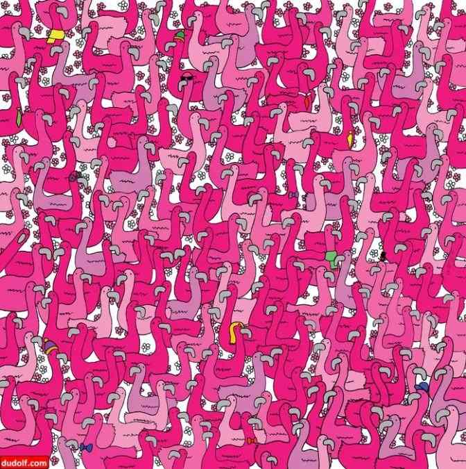 picture puzzles find hidden objects