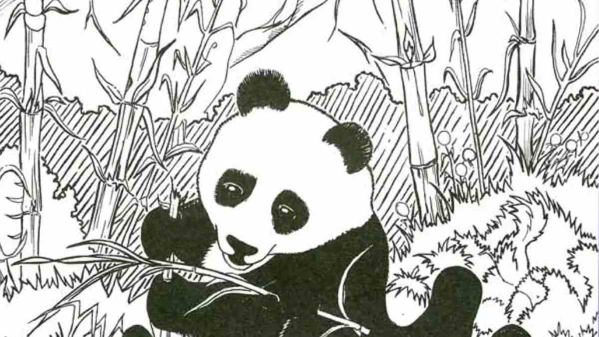 Can Your Eagle Eyes Spot The Hidden Shoe In 12 Seconds In This Baffling Optical Illusion?