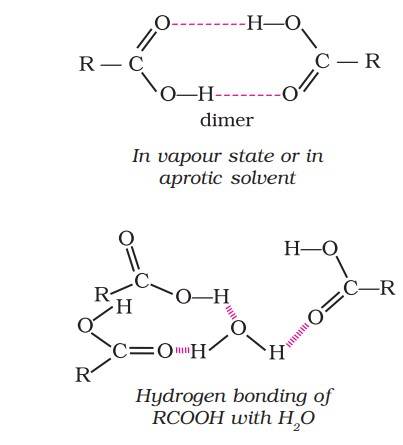 Carboxylic Acids: Definition, Structure, Nomenclature, Physical Properties