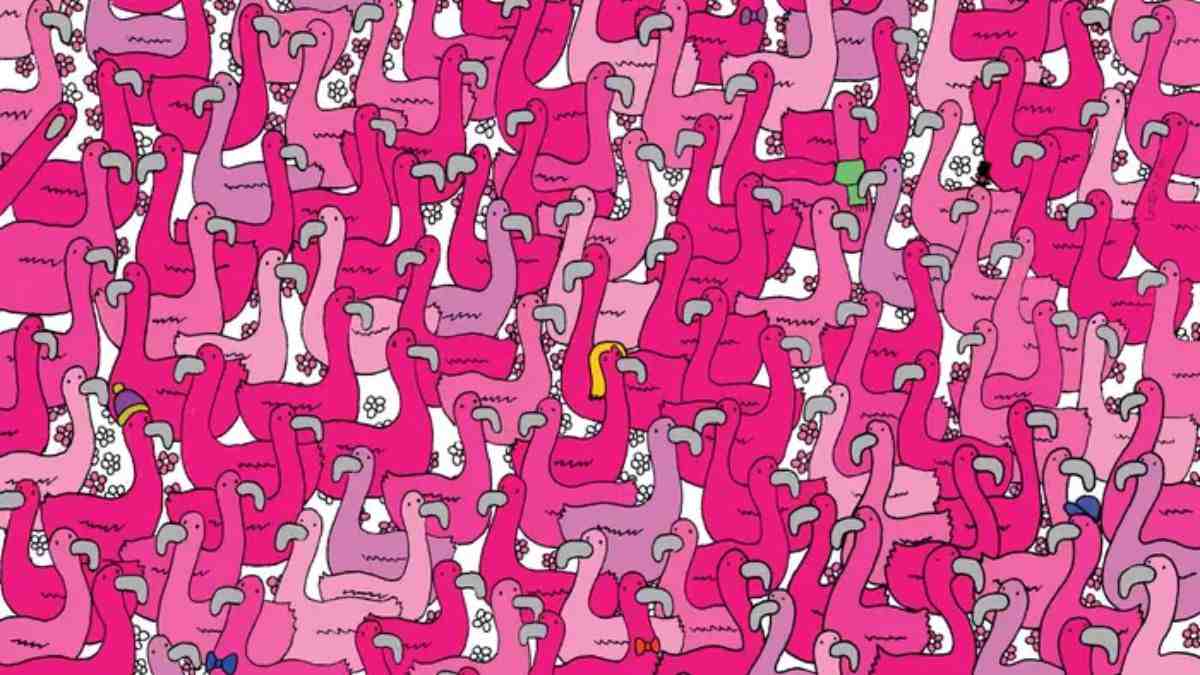 Picture Puzzle IQ Test: Can You Spot The Heart Among Flamingos In 12 Seconds?