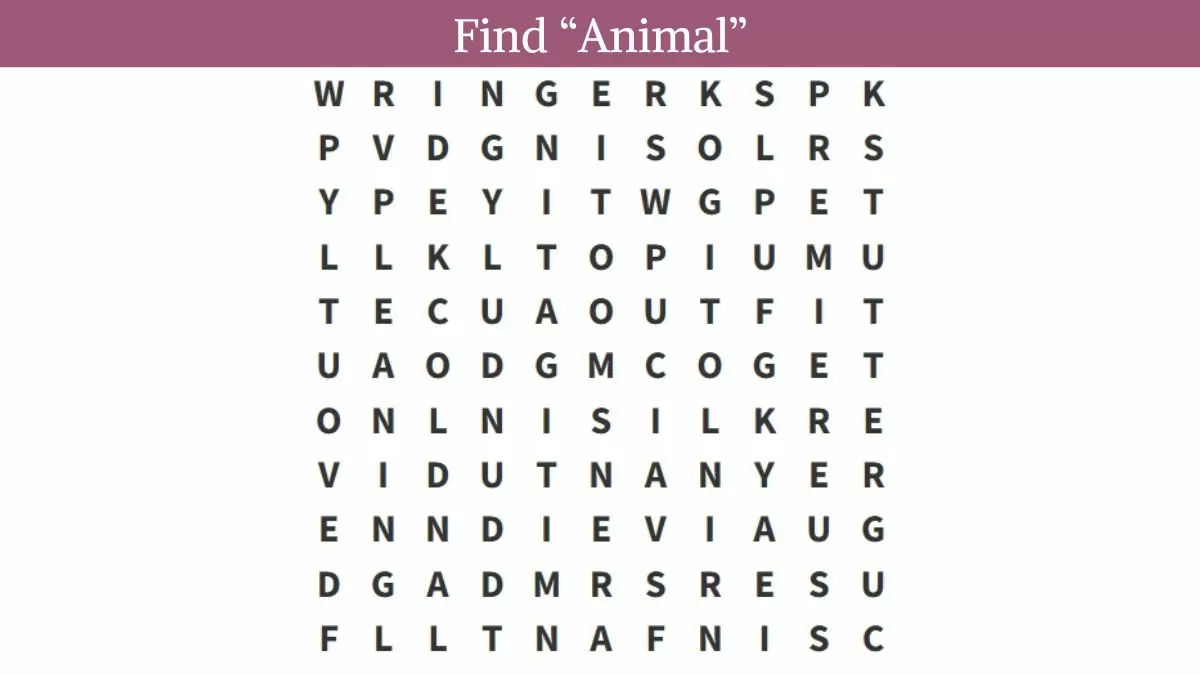Find animal in 8 seconds
