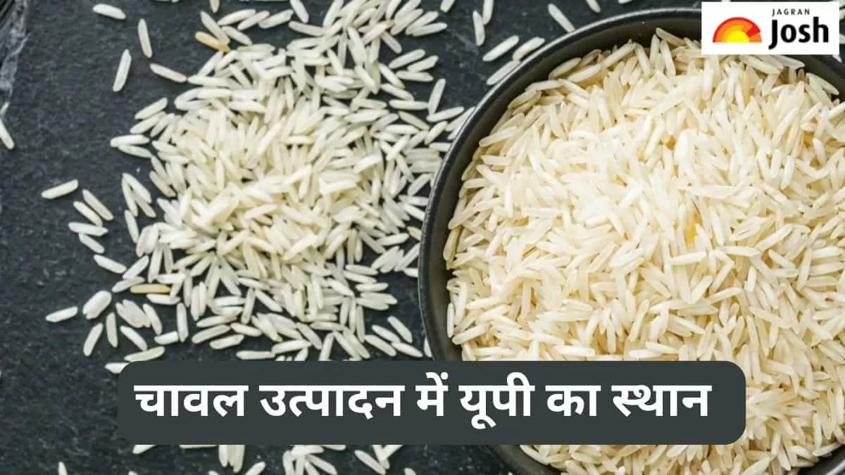 यूपी में कुल चावल उत्पादन 
