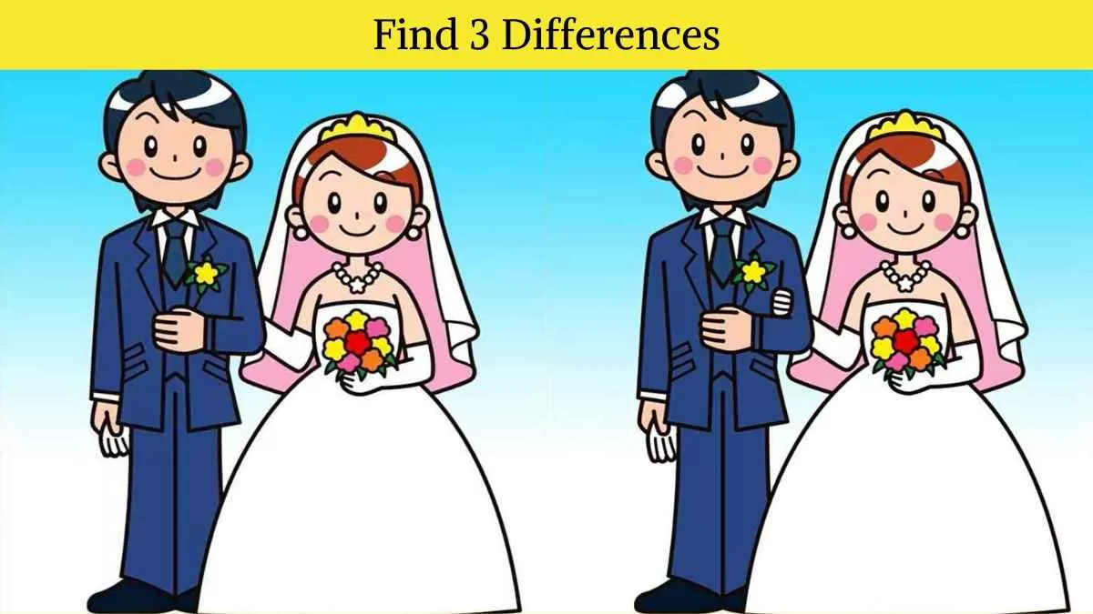 Find 3 differences in 14 seconds