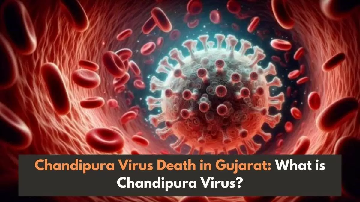 Chandipura Virus Death in Gujarat: What is Chandipura Virus? Know Full ...