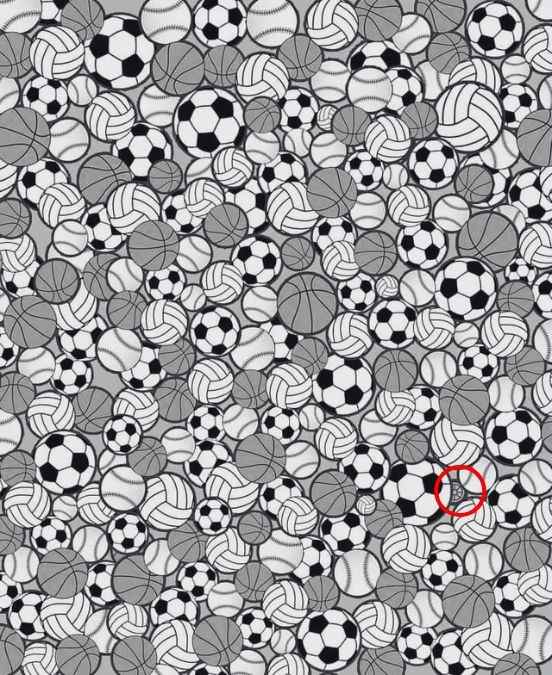 hidden picture puzzles