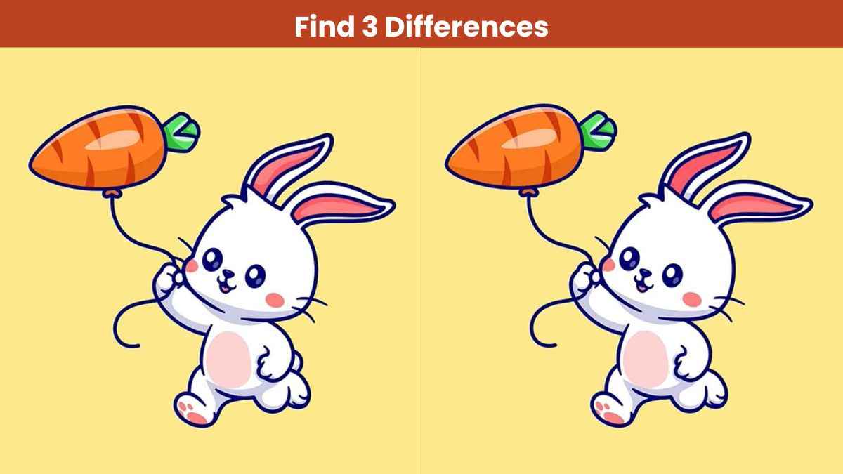 Find 3 differences between the pictures of a rabbit with a carrot in 11 seconds!