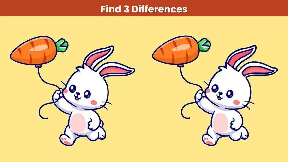 Find 3 differences in 11 seconds