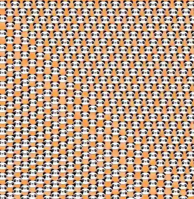 hidden optical illusions