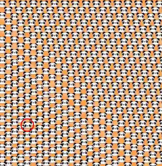 Optical Illusion IQ Test: Use Your Keen Eyes To Spot The Odd Panda In ...