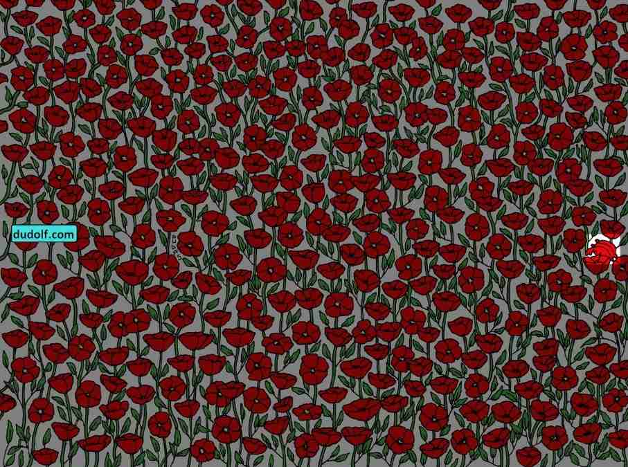 hidden picture puzzles with answers