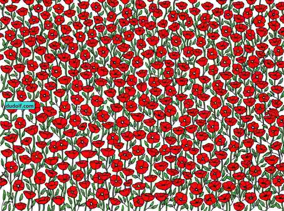 hidden picture puzzles