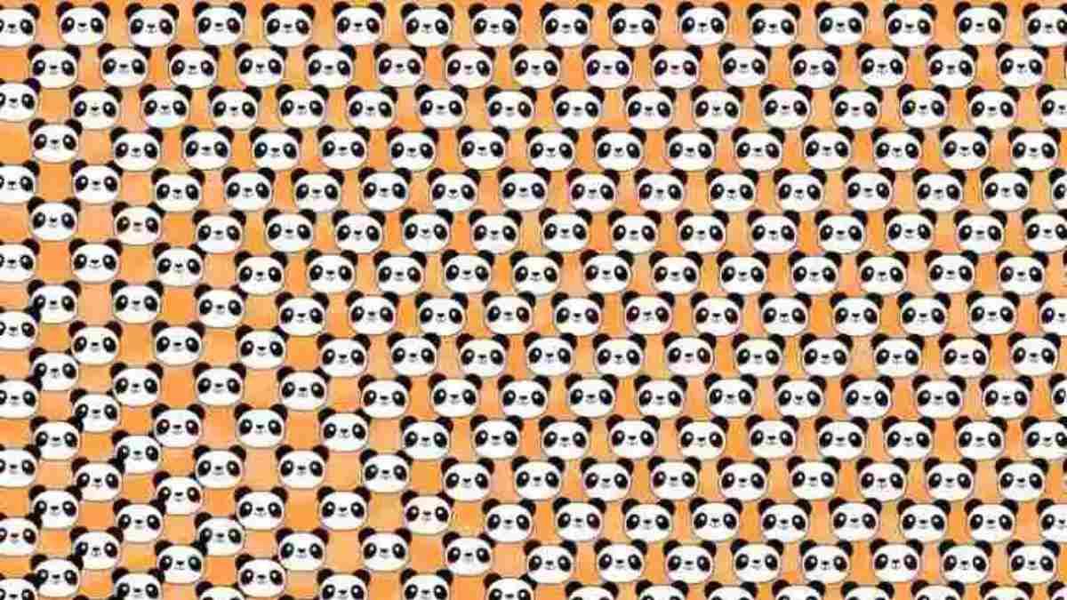 Optical Illusion IQ Test: Use Your Keen Eyes To Spot The Odd Panda In 12 Seconds!
