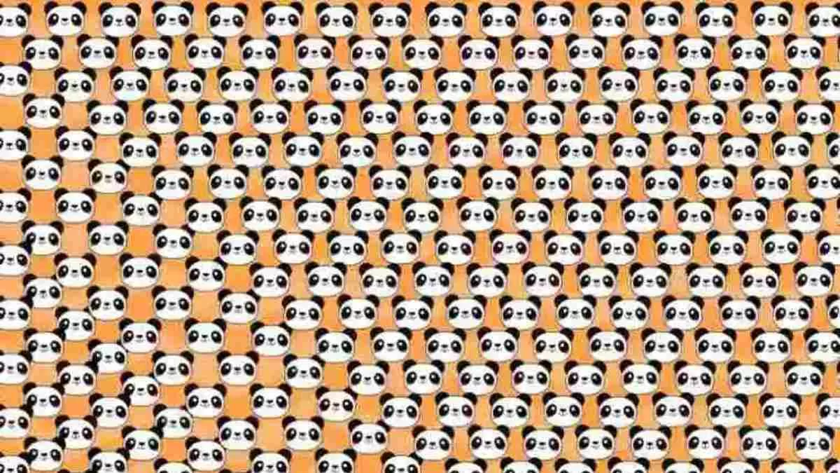 Can You Spot The Odd Panda?