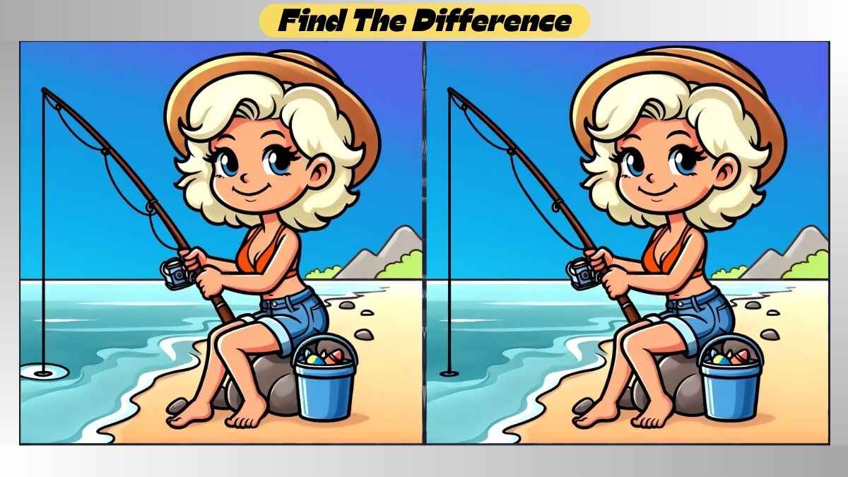 Spot 3 Differences Between Rod Fishing Pictures in 49 Seconds