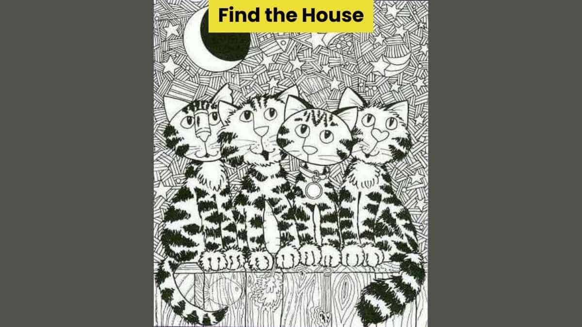 You have 4K vision if you can find the house among the cats in 8 seconds!