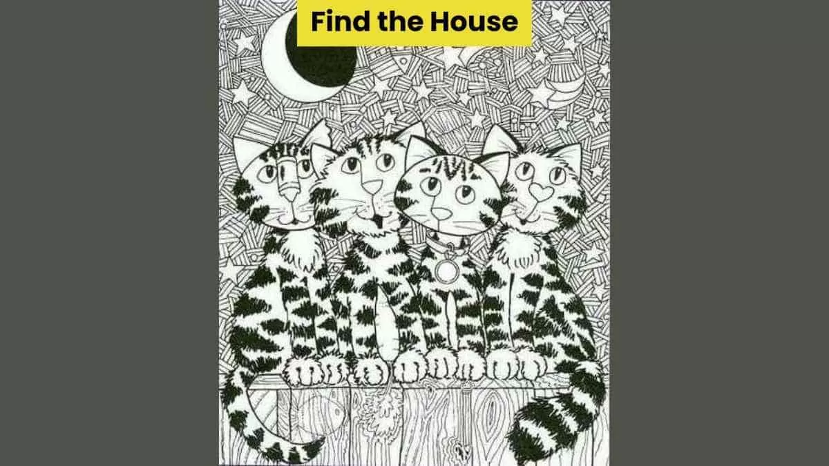 Find the house