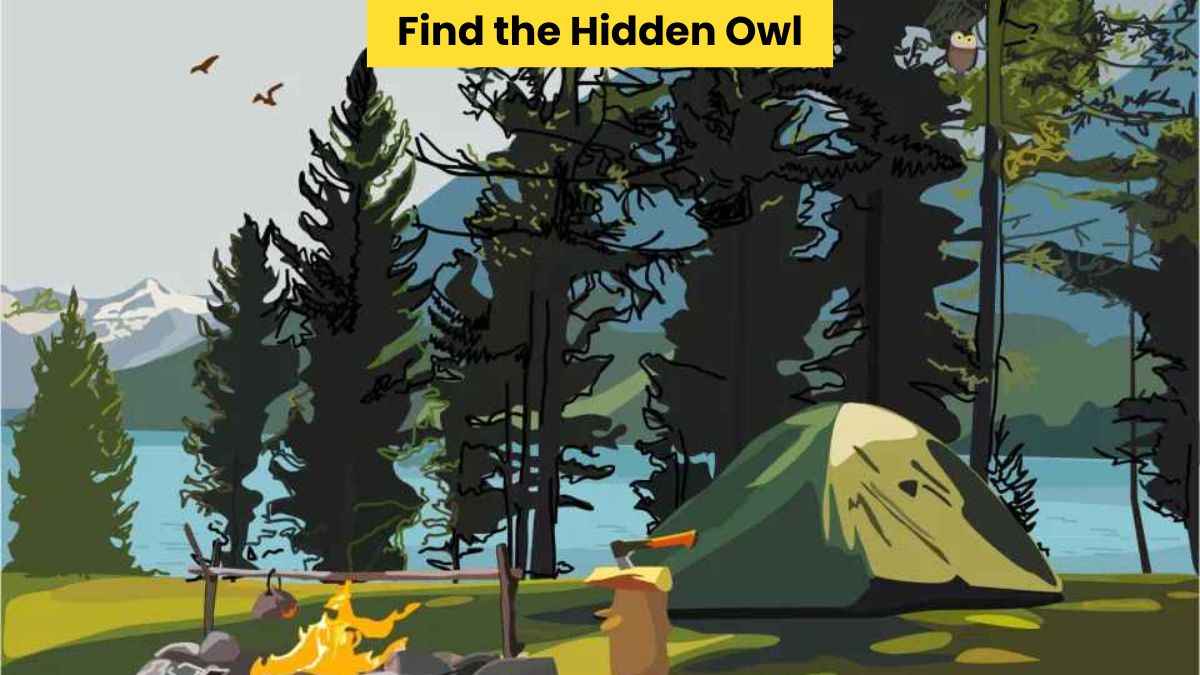 You have 20/20 vision if you can find the owl in the camp scene in 9 seconds!