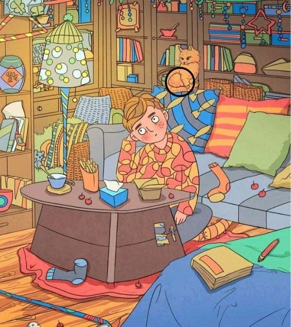 hidden picture puzzles