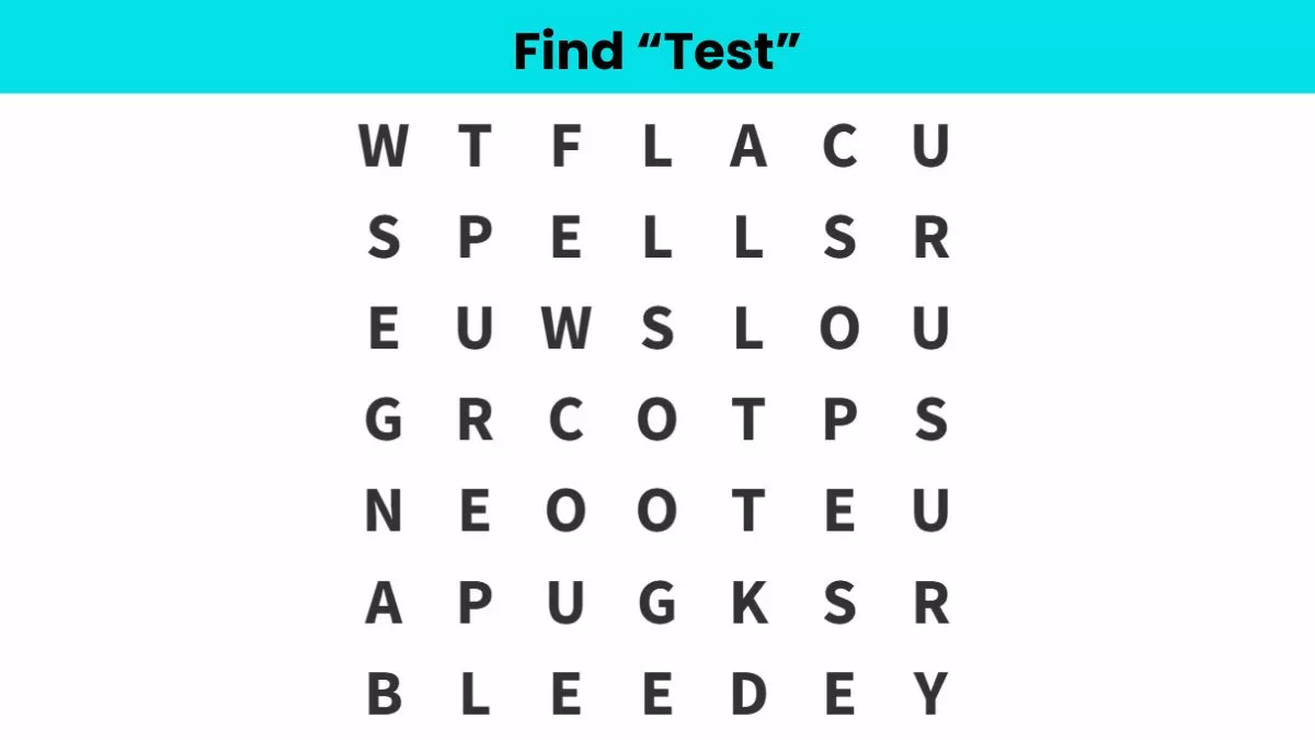 Find the word test