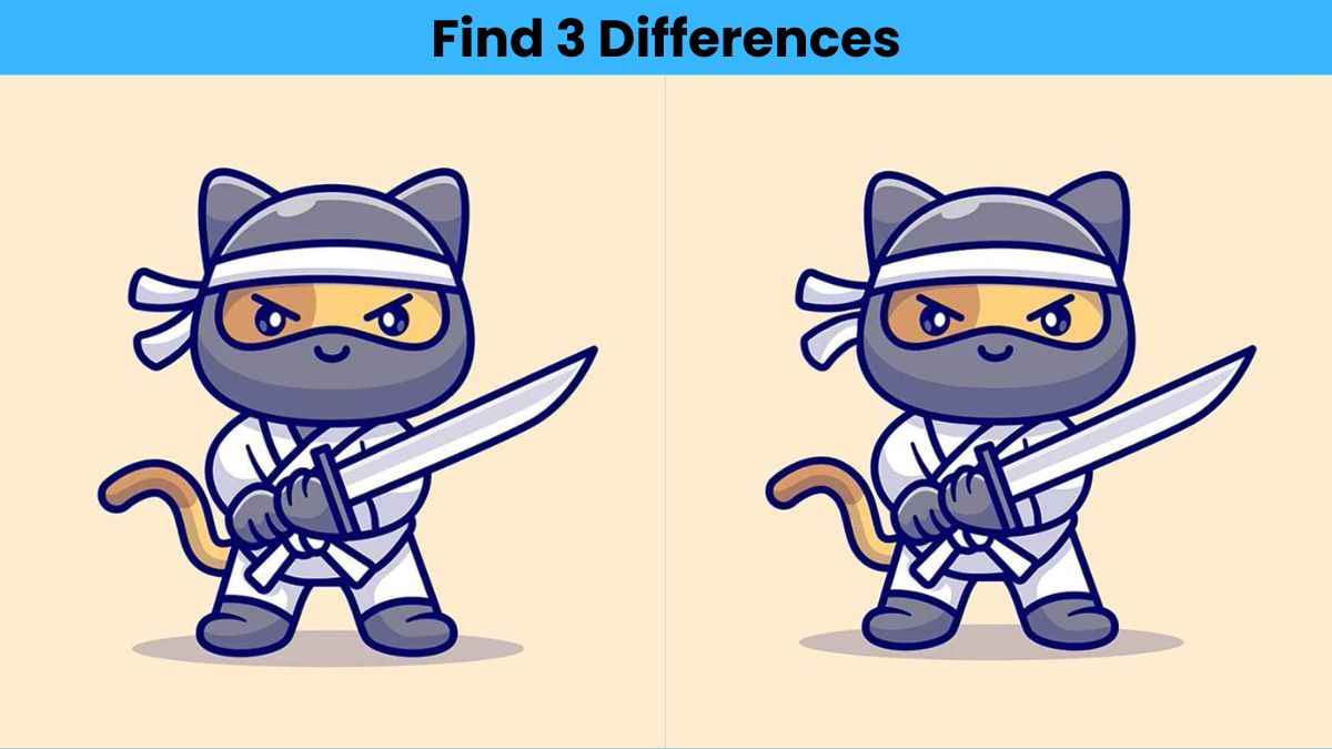 Find 3 differences between the pictures of a ninja cat in 12 seconds!