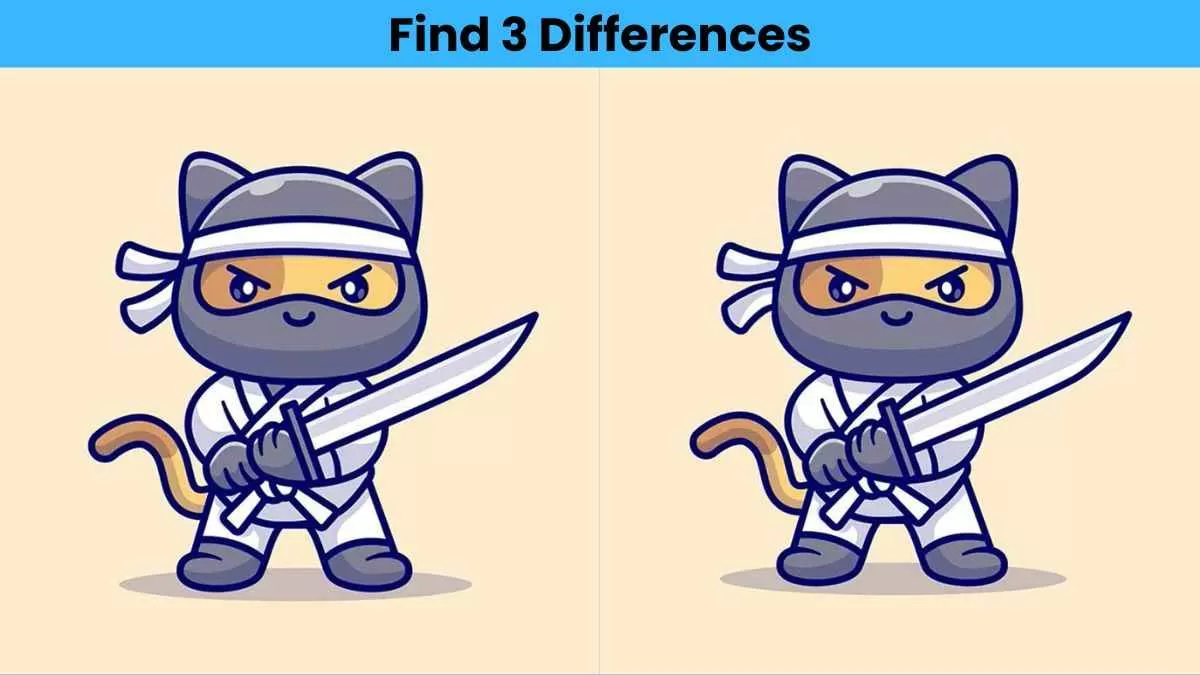 Find 3 differences in 12 seconds