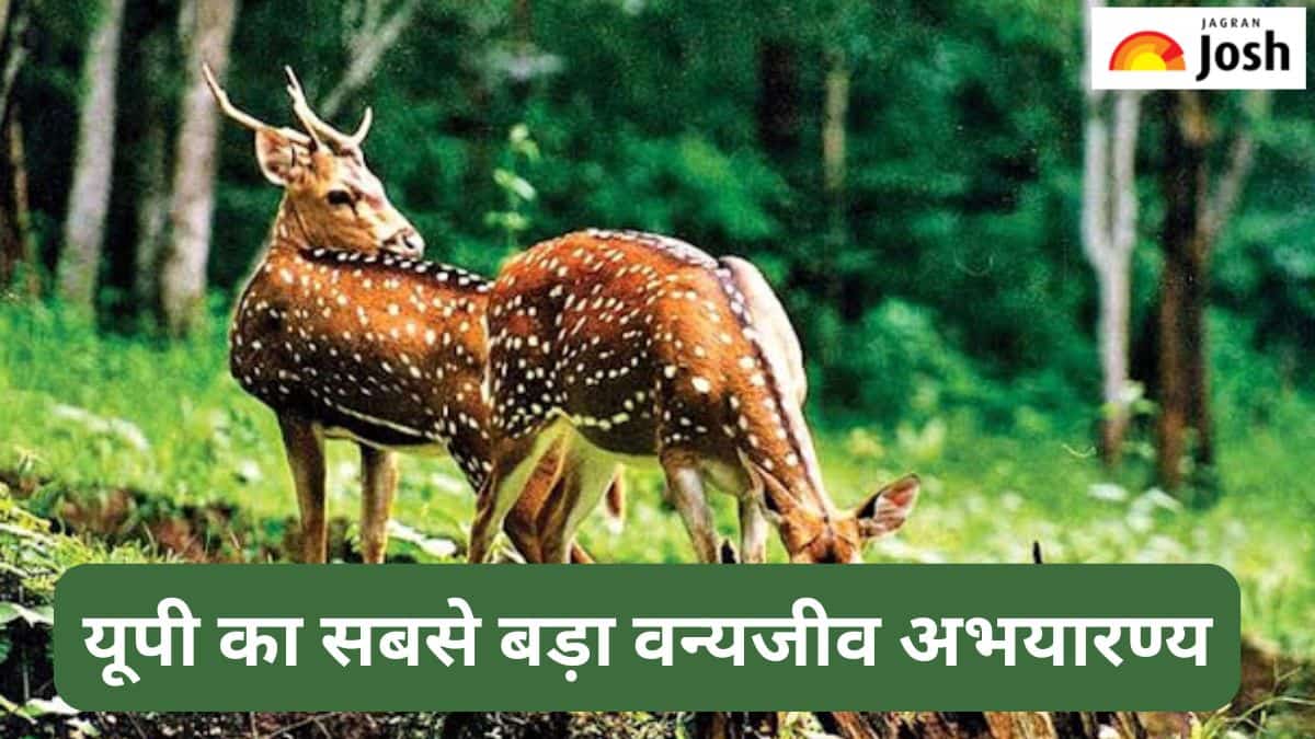उत्तर प्रदेश का सबसे बड़ा वन्यजीव अभयारण्य कौन-सा है, जानें 