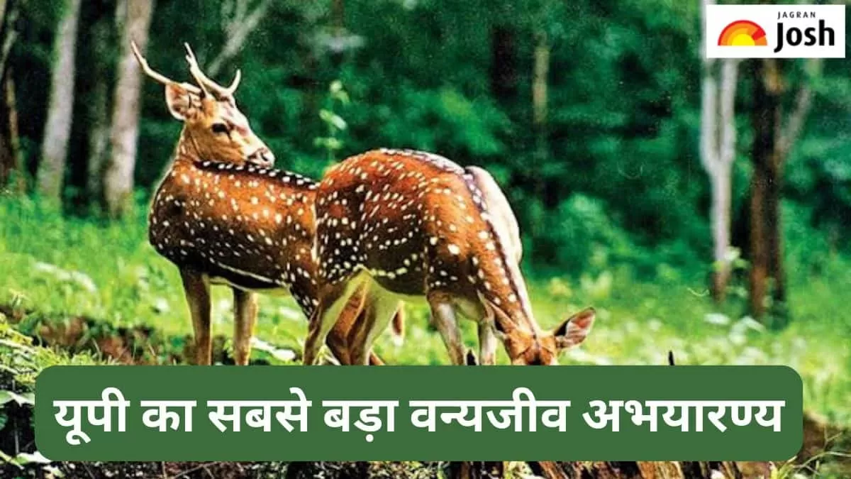 उत्तर प्रदेश का सबसे बड़ा वन्यजीव अभयारण्य