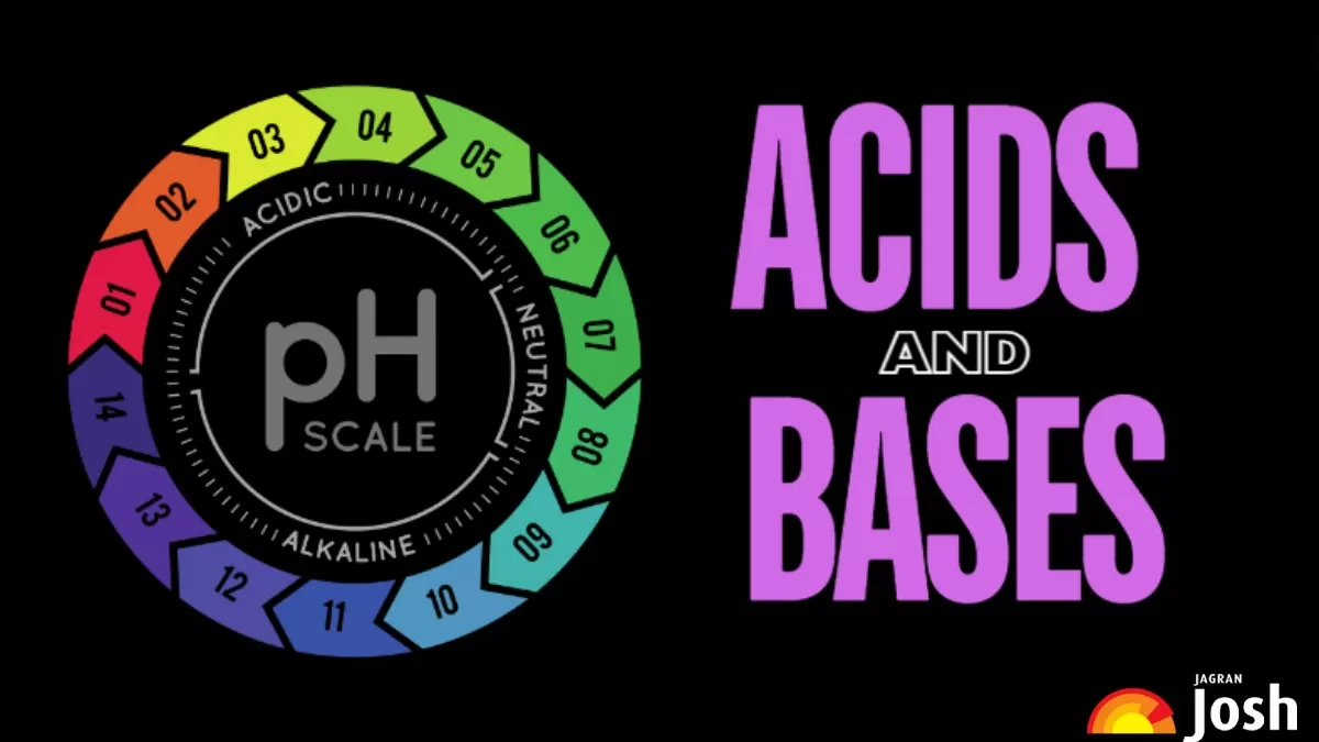 Acids and Bases: Properties, Brønsted-Lowry Theory, Examples, Uses, Lewis and Arrhenius Concept