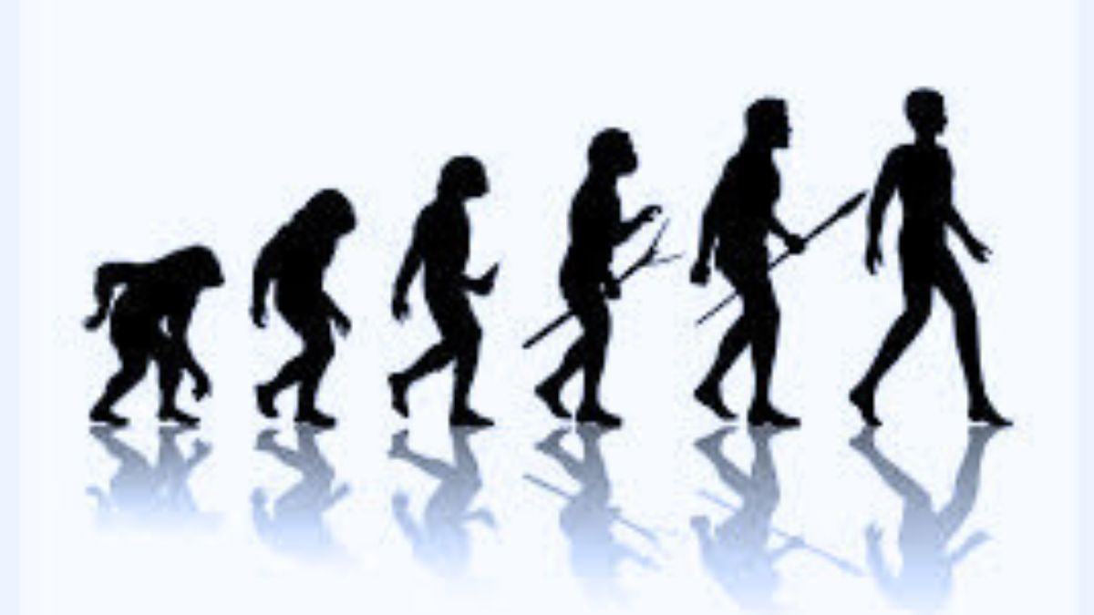 How Did Humans Take Birth and Evolve on the Planet? Here Are The Convincing Theories