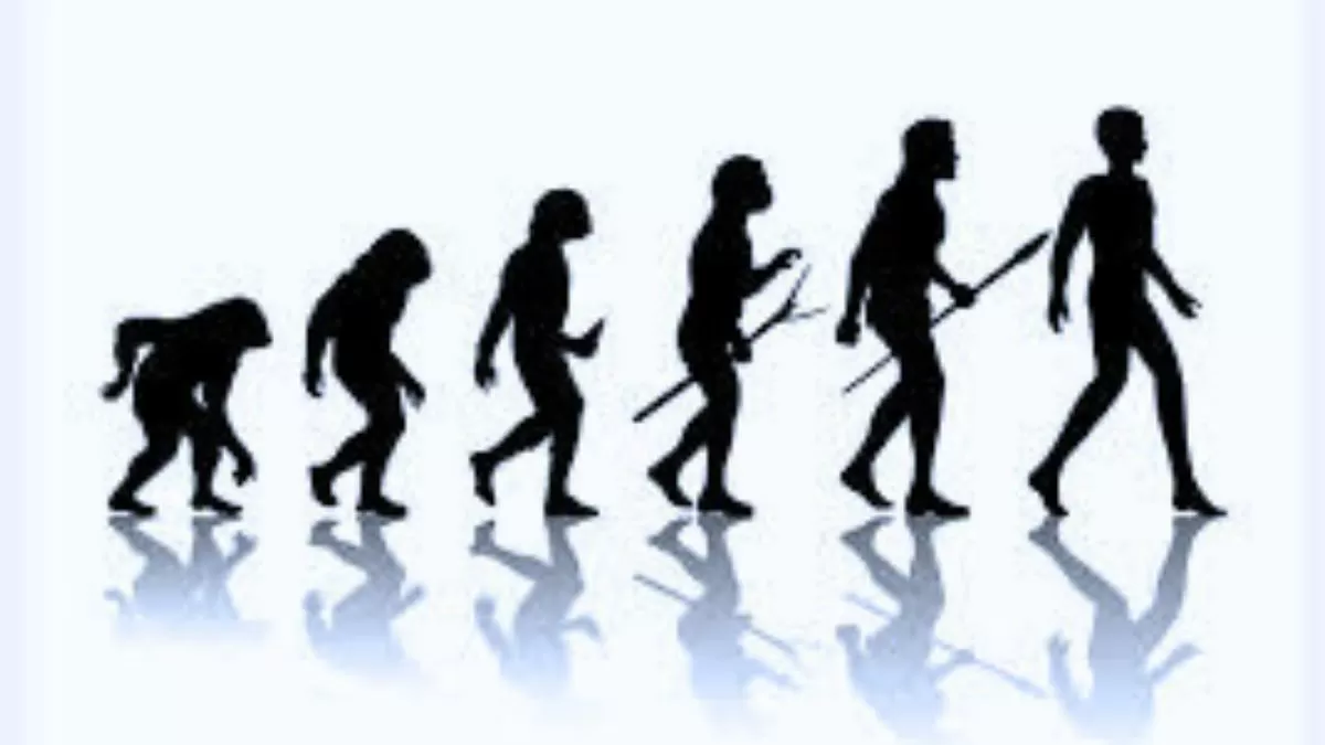 How Did Humans Take Birth and Evolve on the Planet? Here Are The Convincing Theories