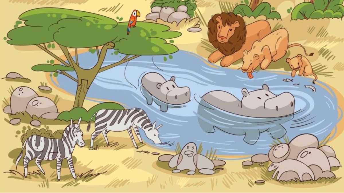 Picture Puzzle IQ Test: Are You Smart Enough to Find the Turtle in 15 Seconds?