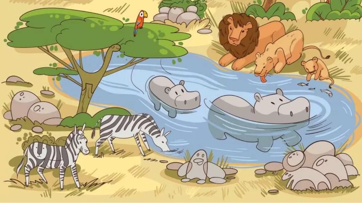 Spot The Turtle.
