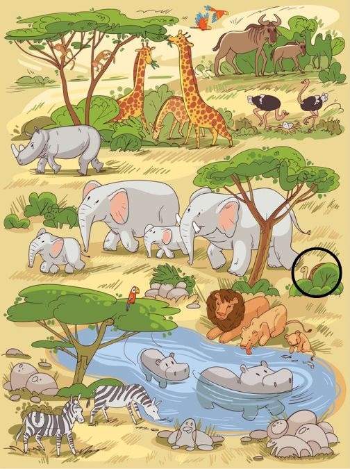 picture puzzles find hidden objects