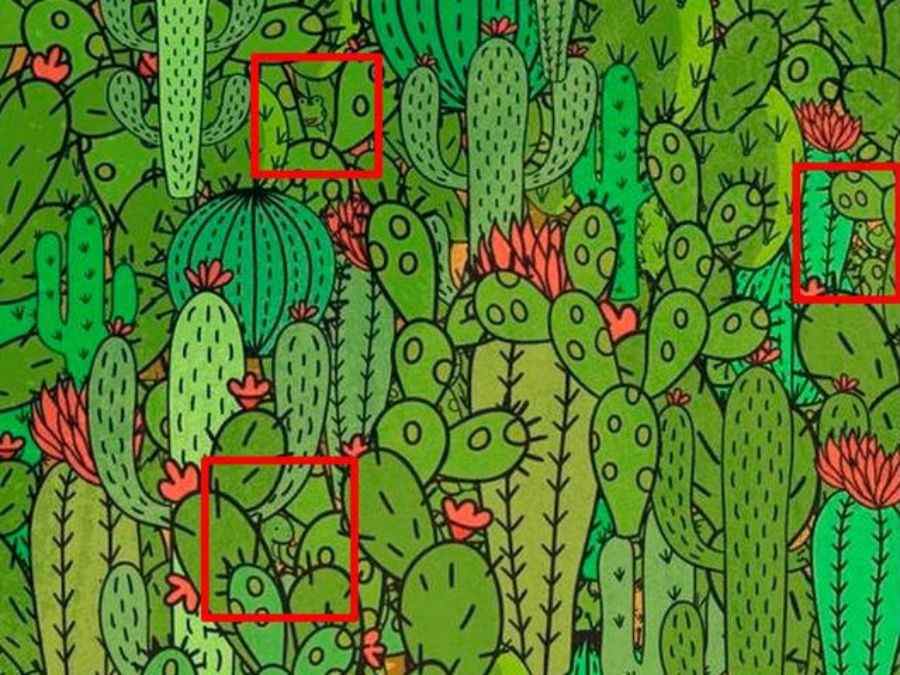 hidden optical illusions